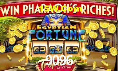 Experiência VIP 9096